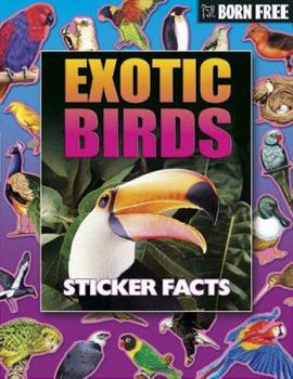 Paperback Exotic Birds (Born Free Sticker Books) Book