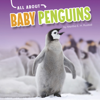 Hardcover All about Baby Penguins Book