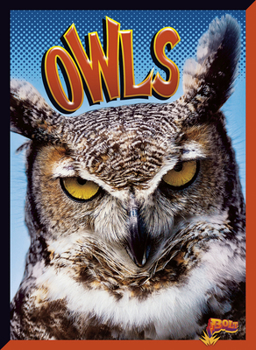 Paperback Owls Book