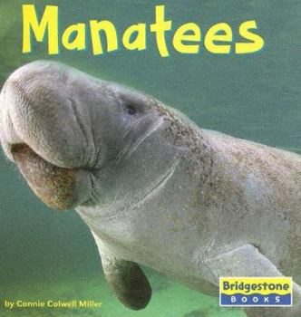 Hardcover Manatees Book
