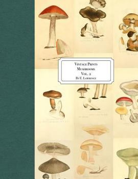 Paperback Vintage Prints: Mushrooms: Vol. 2 Book