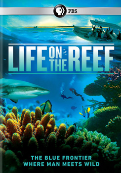 DVD Life on the Reef Book