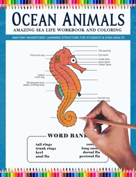 Paperback Ocean Animals Amazing Sea Life Workbook and Coloring - Anatomy Magnificent Learning Structure for Students & Even Adults: Marine Life dolphins, seahor Book