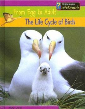 Library Binding The Life Cycle of Birds Book