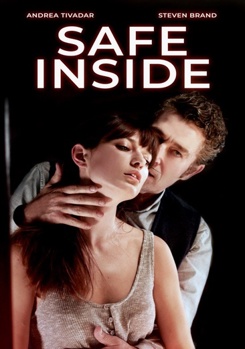 DVD Safe Inside Book