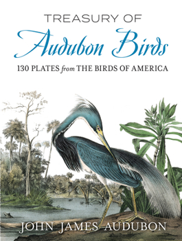 Paperback Treasury of Audubon Birds: 130 Plates from the Birds of America Book