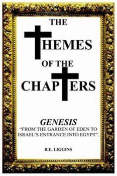 Paperback The Themes of the Chapters Book