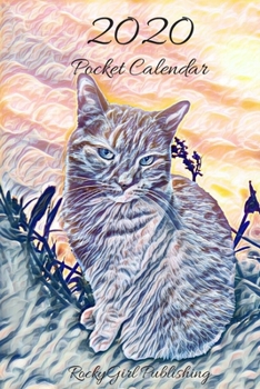 2020 Pocket Calendar: 2020 Cute Orange Tabby Cat Lover Artistic Colorful Sunset Calendar and Journal Planner - 6x9