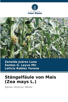 Stängelfäule von Mais (Zea mays L.): Espinal, Veracruz, Mexiko