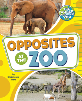 Paperback Opposites at the Zoo Book