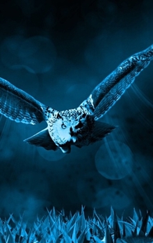 Hardcover Night Owl Blank NoteBook: VanHelsing DayPlanner's & NoteBooks Book