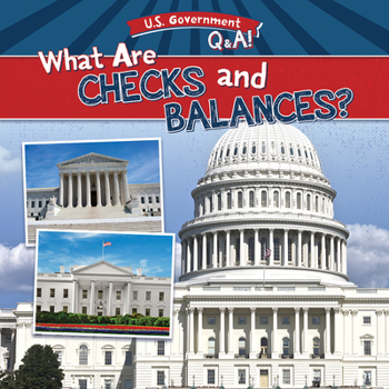 Library Binding What Are Checks and Balances? Book