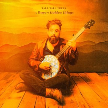 Music - CD Wave Of Golden Things Book