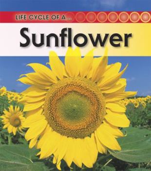 Life Cycle of a Sunflower (Life Cycle of a (Hfl)) - Book  of the Life Cycle of a...