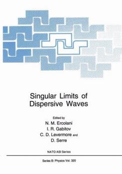 Paperback Singular Limits of Dispersive Waves Book