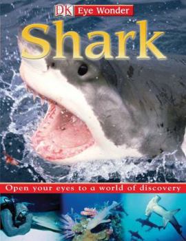 Hardcover Shark Book