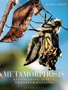 Hardcover Metamorphosis: Astonishing Insect Transformations Book