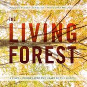 Hardcover The Living Forest: A Visual Journey Into the Heart of the Woods Book
