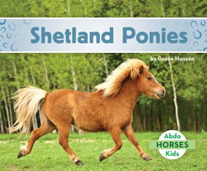 Library Binding Shetland Ponies Book
