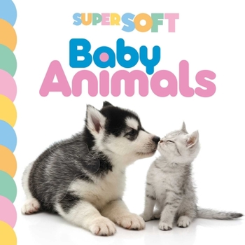 Board book Super Soft Baby Animals: Photographic Touch & Feel Board Book for Babies and Toddlers Book