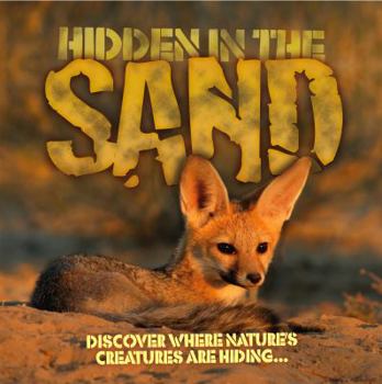 Hidden in the Sand - Book  of the Hidden