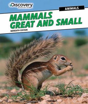 Paperback Mammals Great and Small Book
