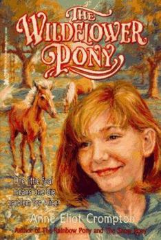 Paperback The Wildflower Pony: Sequel to the Rainbow Pony Book
