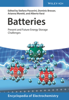 Hardcover Batteries, 2 Volumes: Present and Future Energy Storage Challenges Book