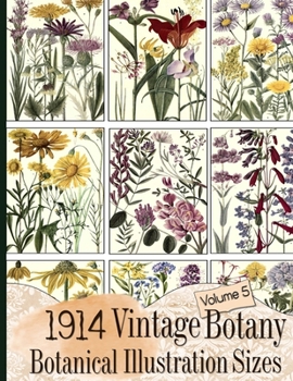 Paperback 1914 Vintage Botany Botanical Illustration Sizes Book