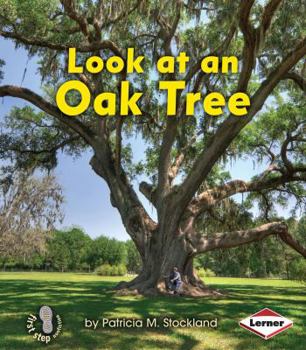 Paperback Look at an Oak Tree Book