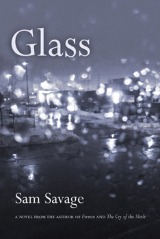 Paperback Glass Book