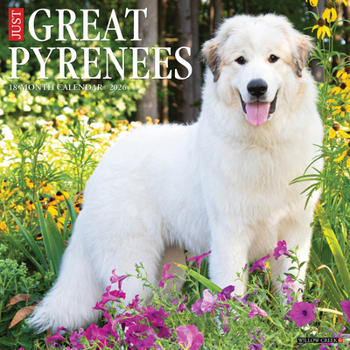 Calendar Great Pyrenees 2026 Wall Calendar Book