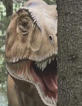 Paperback T-rex Graph Paper Book: 8.5 x 11 Quad Rule Graph Paper 200 pages (100 sheets) Book