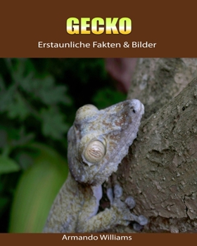 Paperback Gecko: Erstaunliche Fakten & Bilder [German] Book