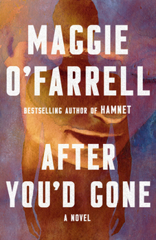Paperback After You'd Gone Book