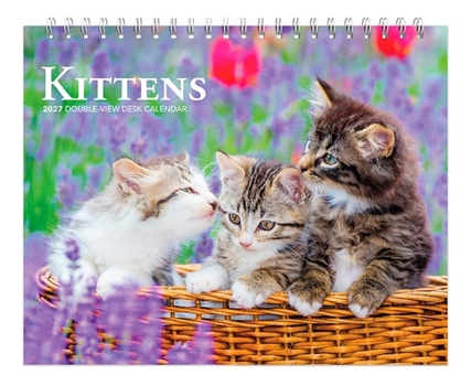 Home Kittens 2027 7.5 X 6 Inch Monthly Double-View Easel Desk Calendar Book
