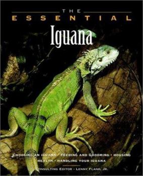 Paperback Iguana Book