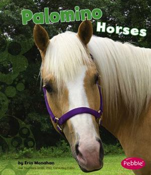 Hardcover Palomino Horses Book