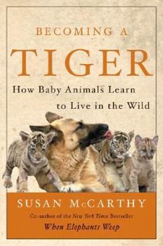 Hardcover Becoming a Tiger: How Baby Animals Learn to Live in the Wild Book