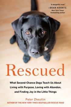 Paperback Rescued: What Second-Chance Dogs Teach Us about Living with Purpose, Loving with Abandon, and Finding Joy in the Little Things Book