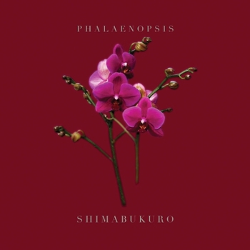 Paperback Phalaenopsis_shimabukuro Book