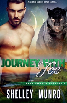 Journey With Joe (Middlemarch Capture)