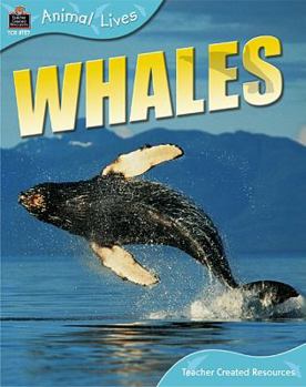 Paperback Animal Lives: Whales Book