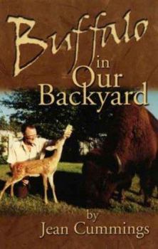 Paperback Buffalo in our backyard Book