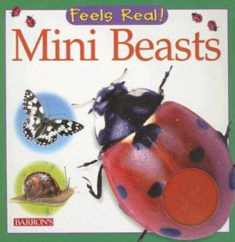 Board book Mini Beasts Book