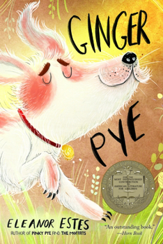 Paperback Ginger Pye Book