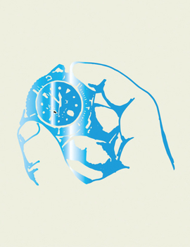 Hardcover Diego Perrone: Perrone Works Book