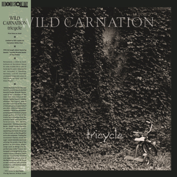 Vinyl Tricycle  Green Vinyl Book