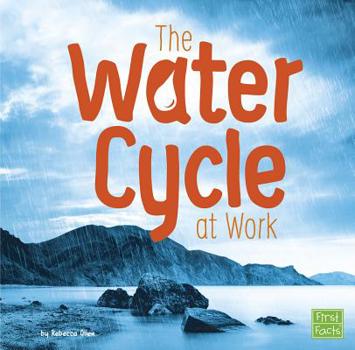 Paperback The Water Cycle at Work Book