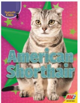 Paperback American Shorthair Book
